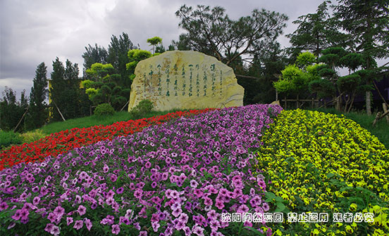 买墓地，选单穴还是双穴？