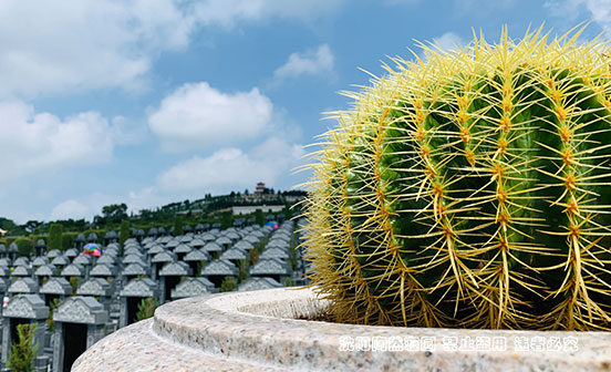 挑选沈阳墓地，位置与墓碑孰轻孰重？