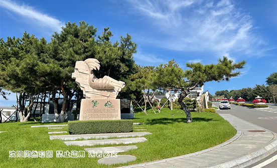 离城不远，离爱很近